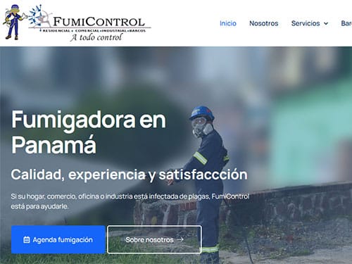 Diseño paginas web para empresas panama
