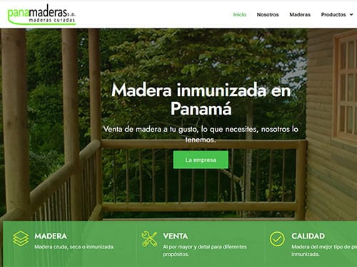 diseñadores web en panama