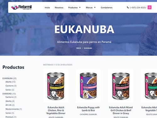 Diseño de página web tipo catalogo en Panamá